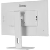 iiyama LED-skærm hvid (mat)