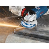 Bosch 2 608 606 923 tilbehør vinkelsliber, Slibeskive Metal, 12,5 cm, Bosch, 2,22 cm, 1 stk