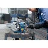 Bosch GBG 35-15 Professional, Dobbelt slibemaskine Blå/Sort