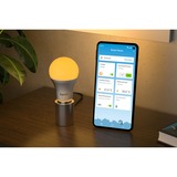 FRITZ! FRITZ!DECT 500, LED-lampe FRITZ!DECT 500, Smart pære, Sølv, Transparent, Hvid, LED, Flere, 2700 K, 6500 K