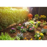 GARDENA Micro-Drip-System Starter Set randen S 13010-20, Dryppe systemer Sort, 15 m, Sort