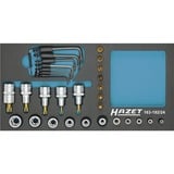 Hazet Sæt med sekskantede toppe 163-192/24, størrelse 1/3, Topnøgle 