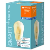 LEDVANCE SMART+ Filament Edison Dimmable Smart pære 5,5 W Transparent Bluetooth, LED-lampe Smart pære, Transparent, Bluetooth, LED, Varm hvid, 2500 K