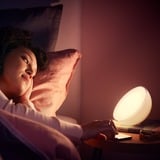 Philips Hue Go bærbar lampe Hvid, Philips Hue White and Color ambiance Go bærbar lampe, Intelligent bordlampe, Bluetooth, Hvid, LED, Ikke-udskiftelig pære(r), Variabel