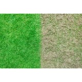 Ryobi RY18SFX35A-0 Skubbe plæneklipper Batteri Sort, Grøn, Plænelufter Grøn/Sort, Skubbe plæneklipper, 35 cm, 55 L, 4 hjul, Børstefri, 1,5 m/s²