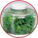 Tefal DPA 130 LA MOULINETTE 1000 1000 W Transparent, Hvid, Makulering Hvid, 0,3 kg, Transparent, Hvid, 1000 W