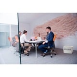 Venta LW45 luftrenser 75 m² 45 dB 8 W Hvid, Luftfugter Hvid/grå, 75 m², 45 dB, 4,2 m², 10 L, Tyskland, Hvid
