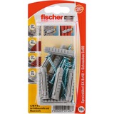 fischer SX 8x40 S K, Dyvel Lys grå