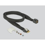 DeLOCK 63953 interface-kort/adapter Intern SAS, SATA M.2, SAS, SATA, 145 mm, 51 mm, 9 mm, SAS