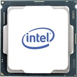 Intel® Xeon E-2124G processor 3,4 GHz 8 MB Smart cache Kasse Intel® Xeon®, LGA 1151 (stik H4), 14 nm, Intel, E-2124G, 3,4 GHz, boxed