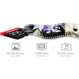 ADATA AUSDX256GUI3V30SHA2-RA1 hukommelseskort 256 GB MicroSDXC UHS-I Klasse 10 256 GB, MicroSDXC, Klasse 10, UHS-I, 100 MB/s, 80 MB/s