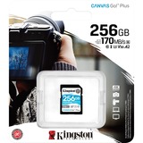 Kingston Canvas Go! Plus 256 GB SD UHS-I Klasse 10, Hukommelseskort Sort, 256 GB, SD, Klasse 10, UHS-I, 170 MB/s, 90 MB/s