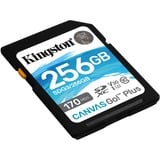 Kingston Canvas Go! Plus 256 GB SD UHS-I Klasse 10, Hukommelseskort Sort, 256 GB, SD, Klasse 10, UHS-I, 170 MB/s, 90 MB/s