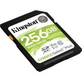 Kingston Canvas Select Plus 256 GB SDXC UHS-I Klasse 10, Hukommelseskort Sort, 256 GB, SDXC, Klasse 10, UHS-I, 100 MB/s, 85 MB/s