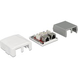 DeLOCK 86197 stikkontakt 2 x RJ-45 Hvid, Samledåse Hvid, 2 x RJ-45, Hvid, TIA-568A/B, 59 mm, 61 mm, 29,5 mm