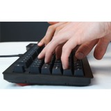 Das Keyboard DASK4MKPROCLI tastatur USB QWERTY Sort, Gaming-tastatur Sort, Amerikansk layout, Kirsebær MX blå, Standard, Kabel, USB, QWERTY, Sort