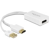 DeLOCK 62496 videokabel adapter 0,245 m DisplayPort HDMI + USB Hvid Hvid, 0,245 m, DisplayPort, HDMI + USB, Hanstik, Hunstik, Guld