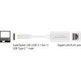 DeLOCK 65906 interface-kort/adapter RJ-45 Hvid, USB Type-C, RJ-45, RJ-45, Hvid, 0,135 m, Aktivitet, Strøm