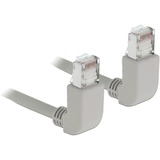 DeLOCK 83513 netværkskabel Grå 0,5 m Cat6a S/FTP (S-STP) grå, 0,5 m, Cat6a, S/FTP (S-STP), RJ-45, RJ-45