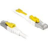 DeLOCK 85332 netværkskabel Hvid 2 m Cat6a S/FTP (S-STP) Hvid, 2 m, Cat6a, S/FTP (S-STP), RJ-45, RJ-45