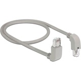 DeLOCK 85870 netværkskabel Grå 0,5 m Cat6a S/FTP (S-STP) grå, 0,5 m, Cat6a, S/FTP (S-STP), RJ-45, RJ-45