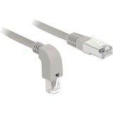 DeLOCK 85873 netværkskabel Grå 0,5 m Cat6a S/FTP (S-STP) grå, 0,5 m, Cat6a, S/FTP (S-STP), RJ-45, RJ-45