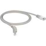 DeLOCK 85874 netværkskabel Grå 1 m Cat6a S/FTP (S-STP) grå, 1 m, Cat6a, S/FTP (S-STP), RJ-45, RJ-45