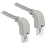 DeLOCK 85876 netværkskabel Grå 0,5 m Cat6a S/FTP (S-STP) grå, 0,5 m, Cat6a, S/FTP (S-STP), RJ-45, RJ-45