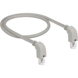 DeLOCK 85876 netværkskabel Grå 0,5 m Cat6a S/FTP (S-STP) grå, 0,5 m, Cat6a, S/FTP (S-STP), RJ-45, RJ-45