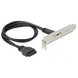 DeLOCK 89937 USB-kabel 0,5 m USB 3.2 Gen 1 (3.1 Gen 1) USB C Sort, Rustfrit stål, Slot beslag Sort, 0,5 m, USB C, USB 3.2 Gen 1 (3.1 Gen 1), Hanstik/Hanstik, 5000 Mbit/s, Sort, Rustfrit stål