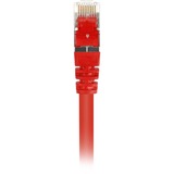 Sharkoon 0.25m Cat.6 S/FTP netværkskabel Rød 0,25 m Cat6 S/FTP (S-STP) Rød, 0,25 m, Cat6, S/FTP (S-STP), RJ-45, RJ-45