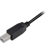 Sharkoon 4044951015245 USB-kabel 0,5 m USB 2.0 USB A USB B Sort Sort, 0,5 m, USB A, USB B, USB 2.0, Hanstik/Hanstik, Sort