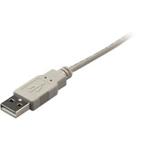 Sharkoon 4044951015290 USB-kabel 0,5 m USB 2.0 USB A USB B Grå grå, 0,5 m, USB A, USB B, USB 2.0, Hanstik/Hanstik, Grå