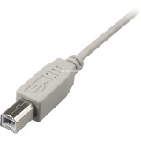 Sharkoon 4044951015290 USB-kabel 0,5 m USB 2.0 USB A USB B Grå grå, 0,5 m, USB A, USB B, USB 2.0, Hanstik/Hanstik, Grå