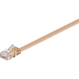 goobay 95880 netværkskabel Lysebrun 1 m Cat6 U/UTP (UTP) Brown, 1 m, Cat6, U/UTP (UTP), RJ-45, RJ-45