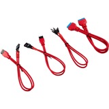 Corsair CC-8900246 intern strømkabel 0,3 m, Forlængerledning Rød, 0,3 m, Hanstik, Hanstik, Lige, Lige, Sort, Rød