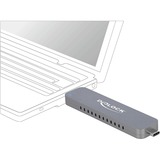 DeLOCK 42616 drevkabinet SSD kabinet Sølv M.2, Drev kabinet Sølv, SSD kabinet, M.2, M.2, 10 Gbit/sek., USB-tilslutning, Sølv