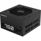 GIGABYTE P750GM enhed til strømforsyning 750 W 20+4 pin ATX ATX Sort, PC strømforsyning Sort, 750 W, 100 - 240 V, 50/60 Hz, 12-6 A, Aktiv, 16 ms