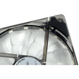 Inter-Tech L-12025 Aura Computerkabinet Ventilator 12 cm Sort, Sag fan Sort/gennemsigtig, Ventilator, 12 cm, 1500 rpm, 30 dB, 59,46 kubikfod/min., Sort