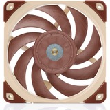 Noctua NF-A12X25 PWM Computerkølesystem Computerkabinet Ventilator 12 cm Brun, Sag fan Ventilator, 12 cm, 450 rpm, 2000 rpm, 22,6 dB, 102,1 m³/t