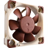 Noctua NF-A4X10-FLX Computerkølesystem Computerkabinet Ventilator 4 cm Beige, Brun 1 stk, Sag fan Brown/Hvid, Ventilator, 4 cm, 4500 rpm, 8,2 m³/t, Beige, Brun