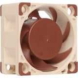 Noctua NF-A4X20 5V PWM Computerkølesystem Computerkabinet Ventilator 4 cm, Sag fan Ventilator, 4 cm, 1100 rpm, 5000 rpm, 14,9 dB, 9,4 m³/t