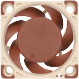 Noctua NF-A4X20 5V PWM Computerkølesystem Computerkabinet Ventilator 4 cm, Sag fan Ventilator, 4 cm, 1100 rpm, 5000 rpm, 14,9 dB, 9,4 m³/t