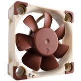 Noctua NF-A4x10 5V Computerkabinet Ventilator 4 cm Beige, Brun, Sag fan Ventilator, 4 cm, 4500 rpm, 17,9 dB, 8,2 m³/t, Beige, Brun