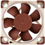 Noctua NF-A4x10 5V Computerkabinet Ventilator 4 cm Beige, Brun, Sag fan Ventilator, 4 cm, 4500 rpm, 17,9 dB, 8,2 m³/t, Beige, Brun