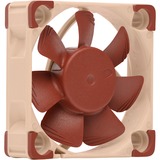 Noctua NF A4x10 5V PWM Computerkabinet Ventilator 4 cm Brun, Sag fan Ventilator, 4 cm, 1000 rpm, 5000 rpm, 19,6 dB, 8,9 m³/t