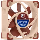 Noctua NF A4x10 PWM Computerkabinet Ventilator 4 cm Beige, Rød, Sag fan Ventilator, 4 cm, 1000 rpm, 5000 rpm, 19,6 dB, 8,9 m³/t