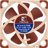 Noctua NF A4x10 PWM Computerkabinet Ventilator 4 cm Beige, Rød, Sag fan Ventilator, 4 cm, 1000 rpm, 5000 rpm, 19,6 dB, 8,9 m³/t
