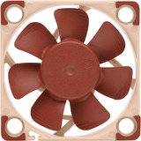 Noctua NF A4x10 PWM Computerkabinet Ventilator 4 cm Beige, Rød, Sag fan Ventilator, 4 cm, 1000 rpm, 5000 rpm, 19,6 dB, 8,9 m³/t