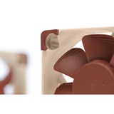 Noctua NF A4x10 PWM Computerkabinet Ventilator 4 cm Beige, Rød, Sag fan Ventilator, 4 cm, 1000 rpm, 5000 rpm, 19,6 dB, 8,9 m³/t